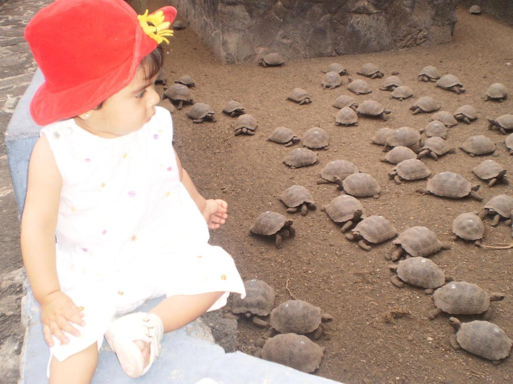 Hostal La Gran Tortuga プエルト・ビジャミル エクステリア 写真