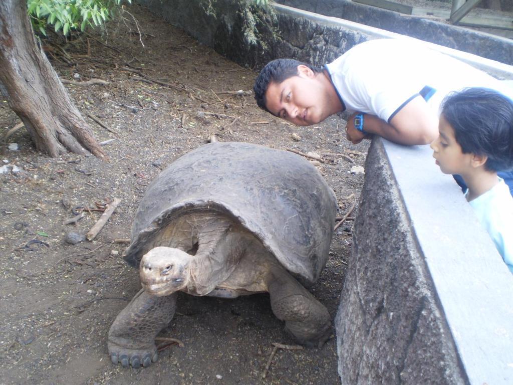 Hostal La Gran Tortuga プエルト・ビジャミル エクステリア 写真